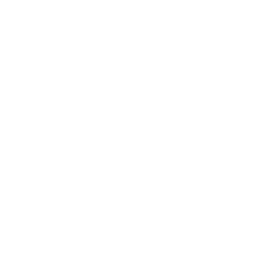 AanDeSlinger
