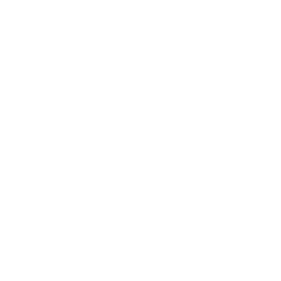 Bolletje