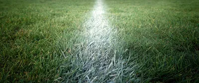 MySportMoment header